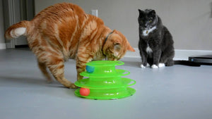 3 in 1 Cat Toy Bundle - Free SHIPPING