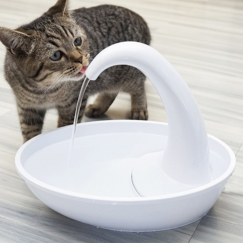 Pet Drinker  Fountain