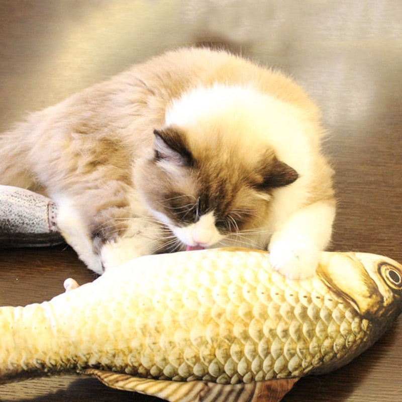 Realistic Looking Fish Kicker Cat Toy - Free Shipping