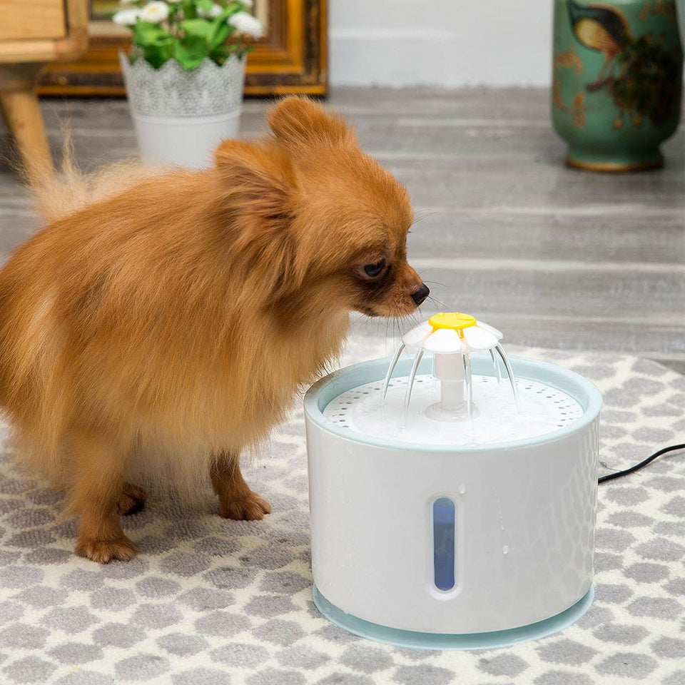 2.4L Automatic Pet Cat Water Fountain LED