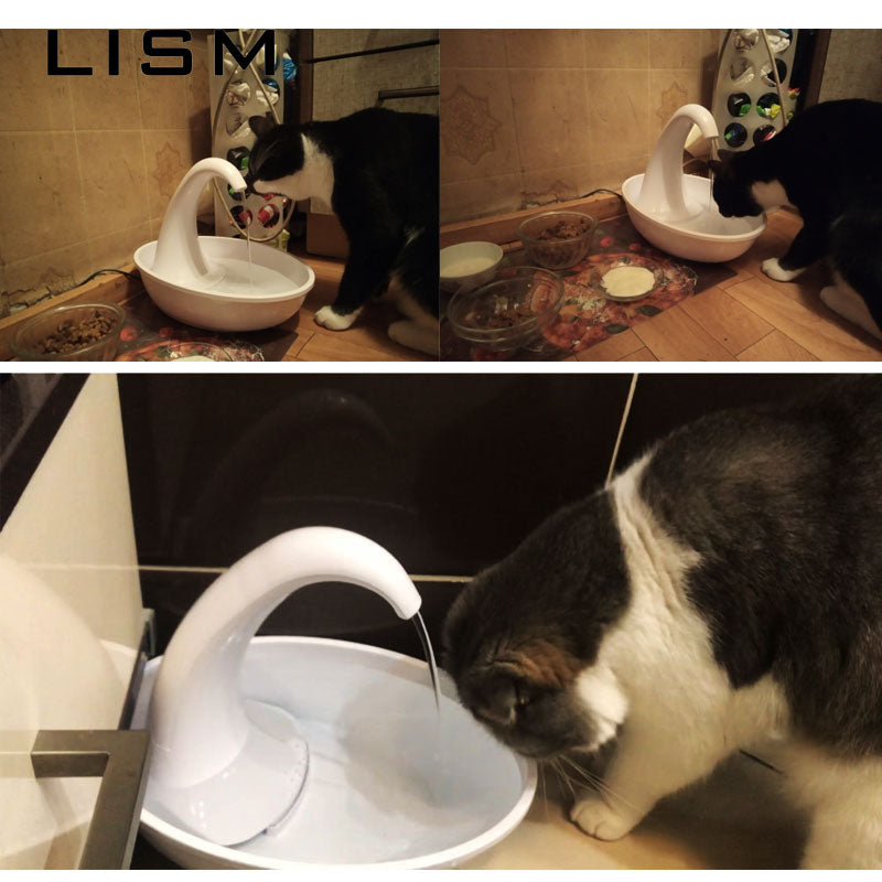 Pet Drinker  Fountain