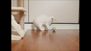 Smart Interactive Cat Toy