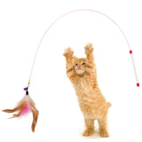 Cat Interactive Toy