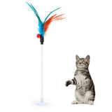 Cat Interactive Toy